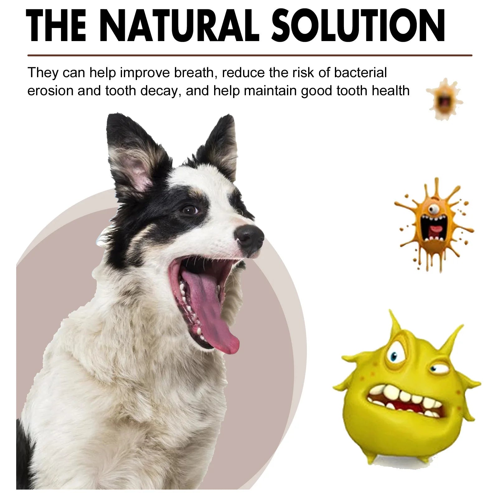 Bad Breath Teeth Cleaning Dog/Cats Tartar Removal