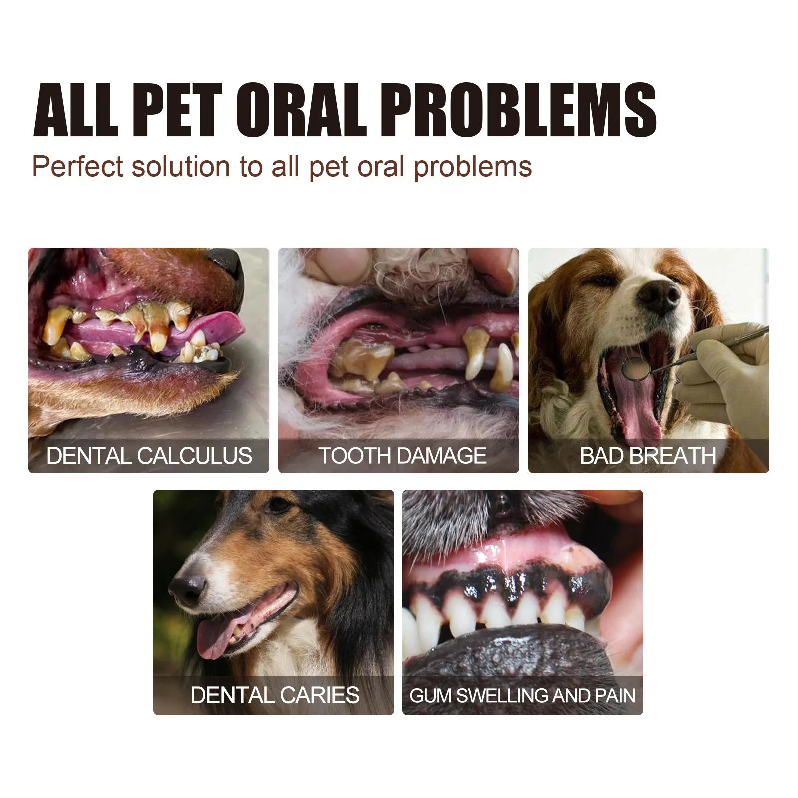 Bad Breath Teeth Cleaning Dog/Cats Tartar Removal