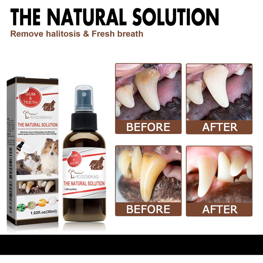 Bad Breath Teeth Cleaning Dog/Cats Tartar Removal