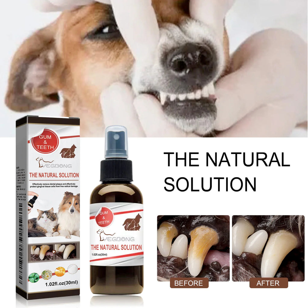 Bad Breath Teeth Cleaning Dog/Cats Tartar Removal