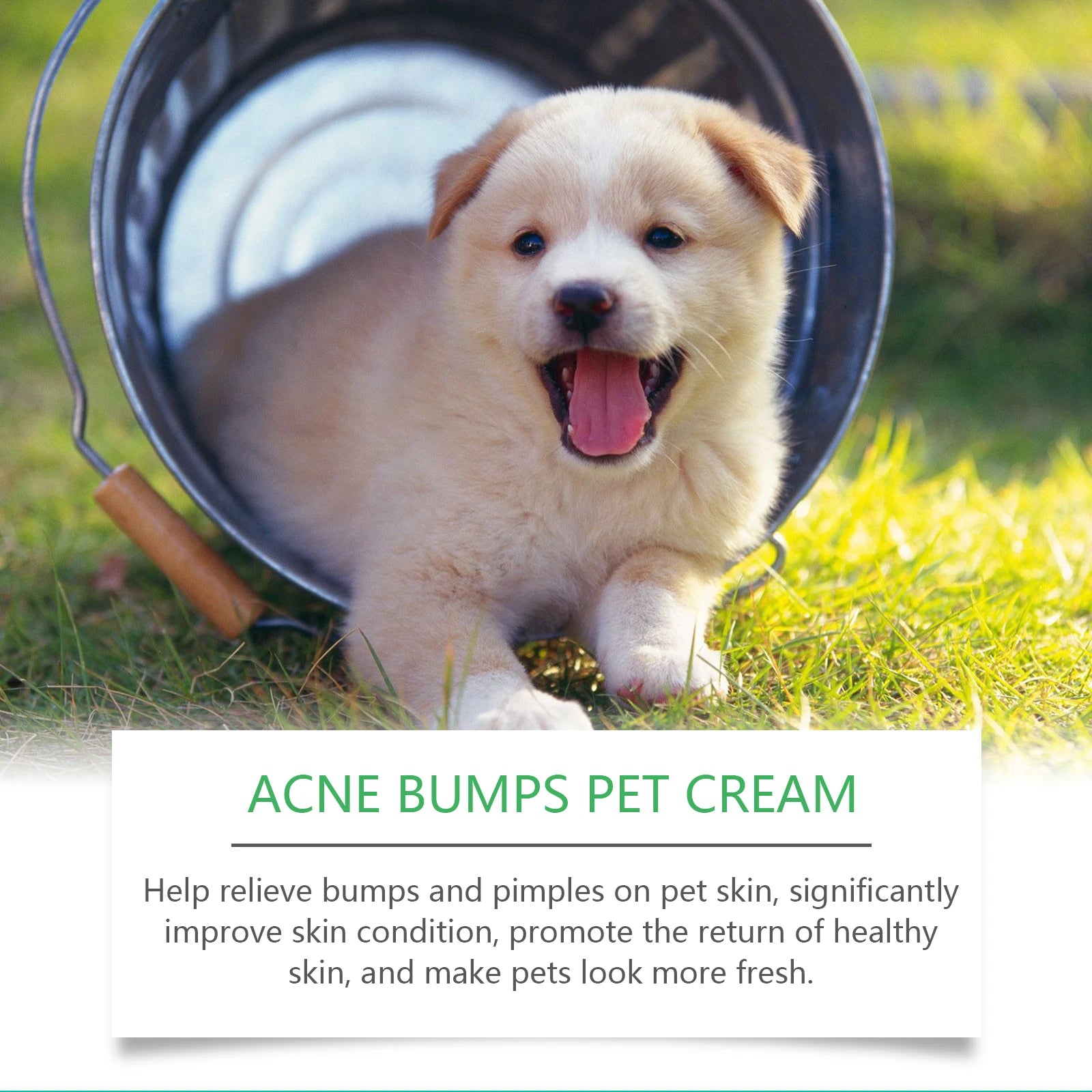 Gentle Nourishing, Reduce Redness and Swelling