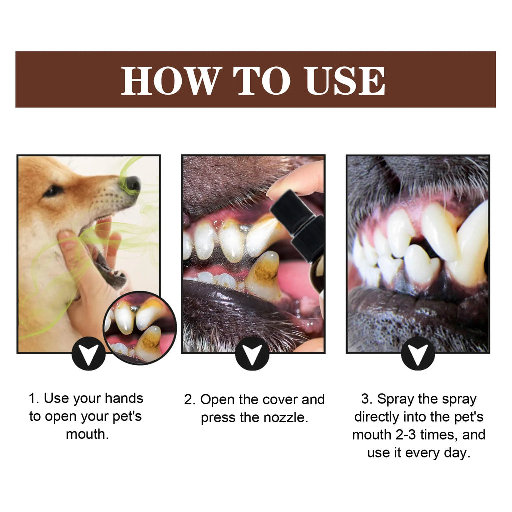 Bad Breath Teeth Cleaning Dog/Cats Tartar Removal