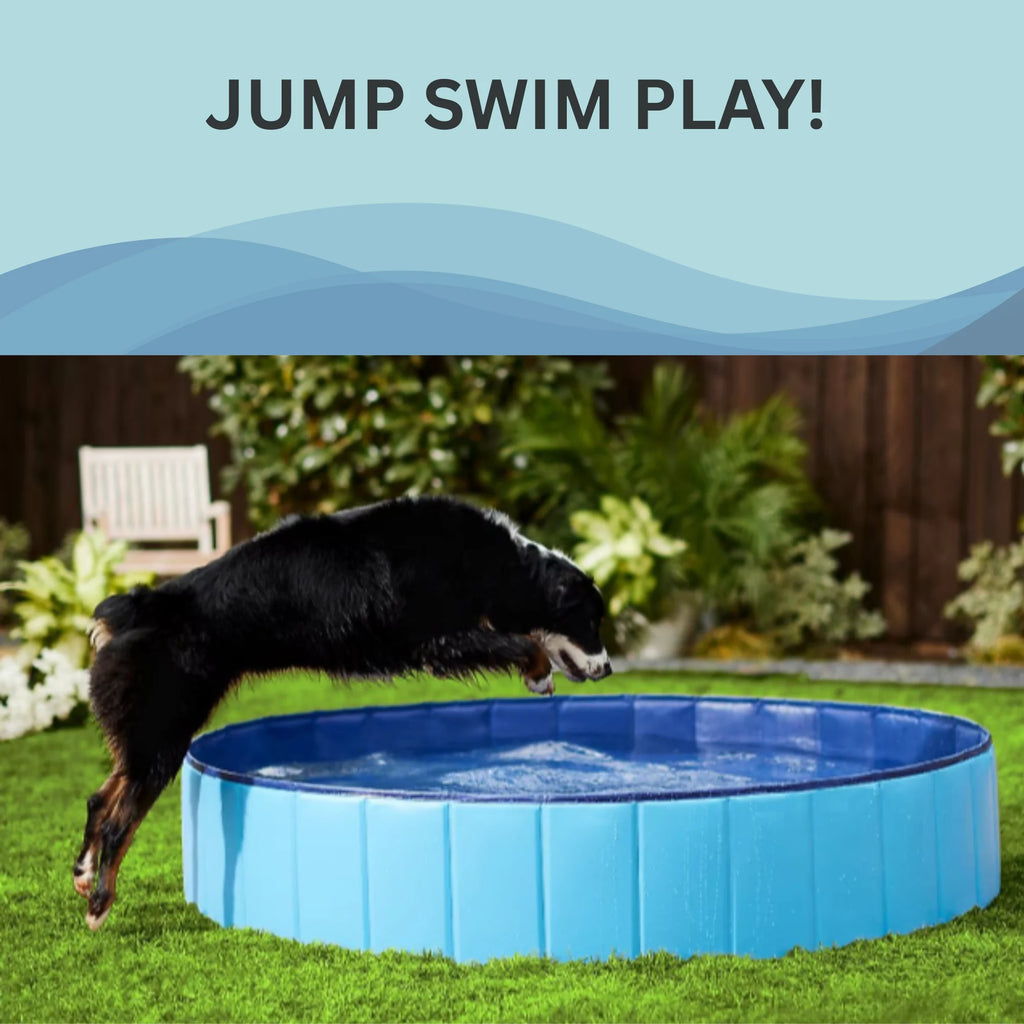 SummerPawz Foldable, Hard Plastic, Portable Dog Pool