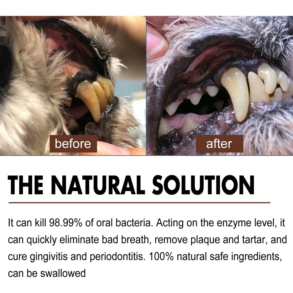 Bad Breath Teeth Cleaning Dog/Cats Tartar Removal