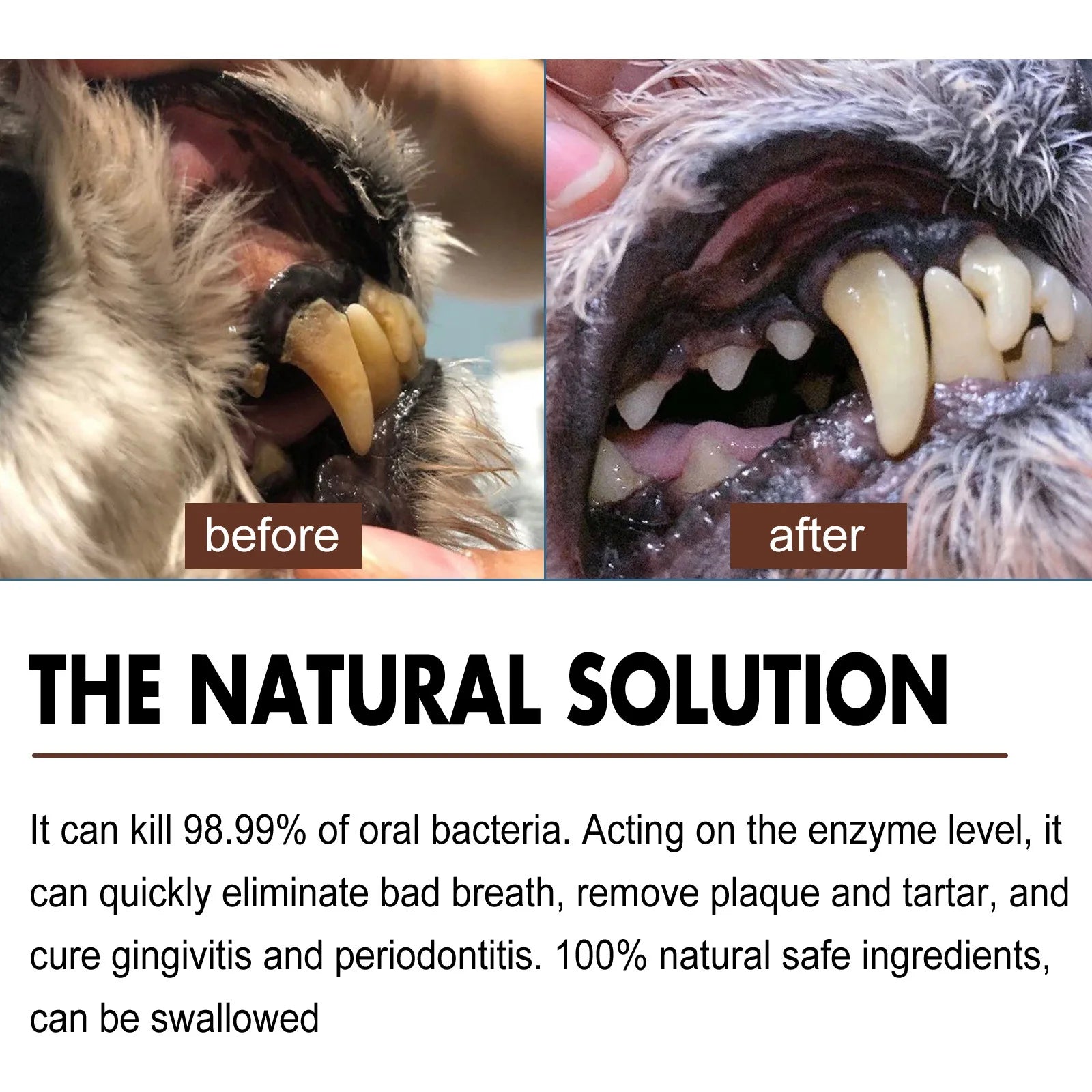 Bad Breath Teeth Cleaning Dog/Cats Tartar Removal