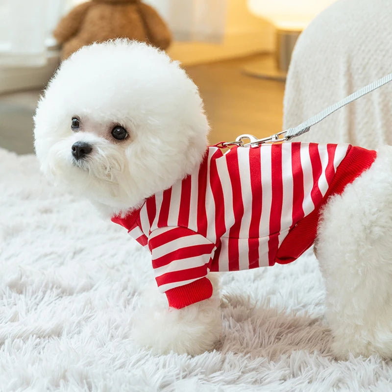 Winter Dog Clothes, Cute Cartoon Warm Hoodie