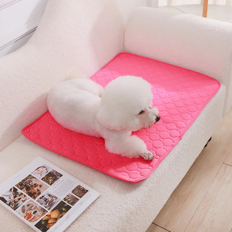 Dog Pee Pad Blanket Reusable, Absorbent Diaper