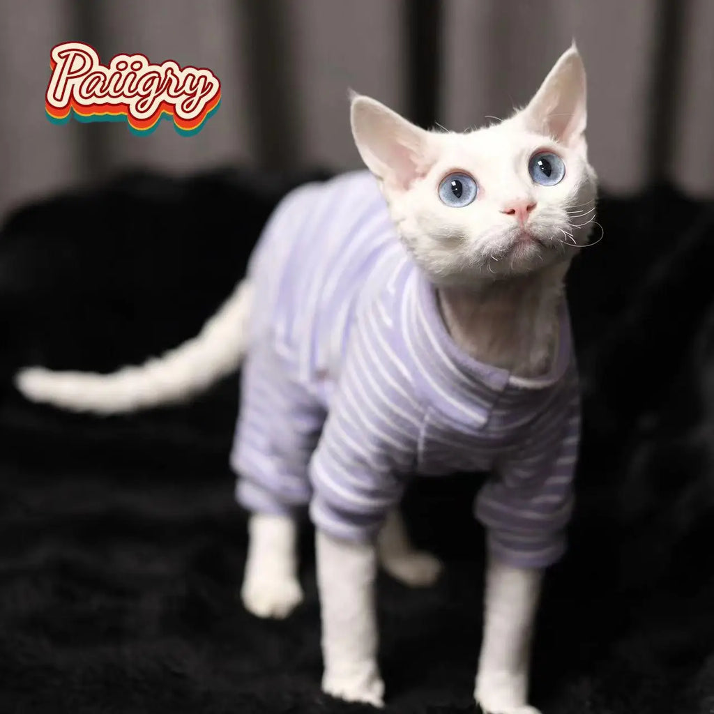 Hairless Cat Tricolor Four-Legged Clothes