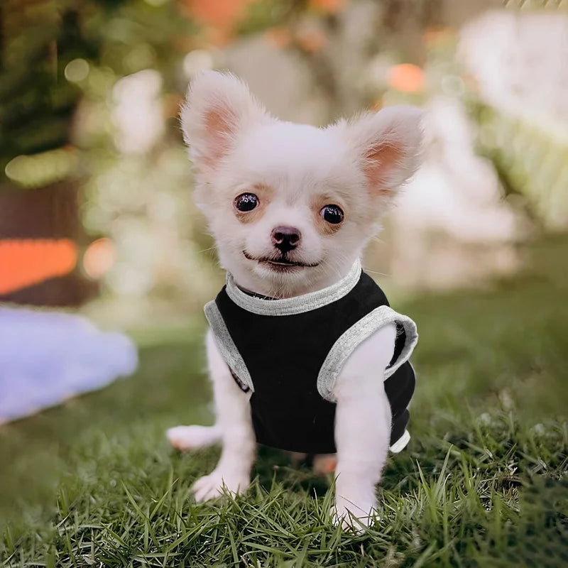 4 Pieces Boys Clothes Small to Large Dogs