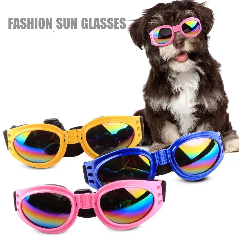 6 Colors Fashion Sunglasses Waterproof, UV Protection