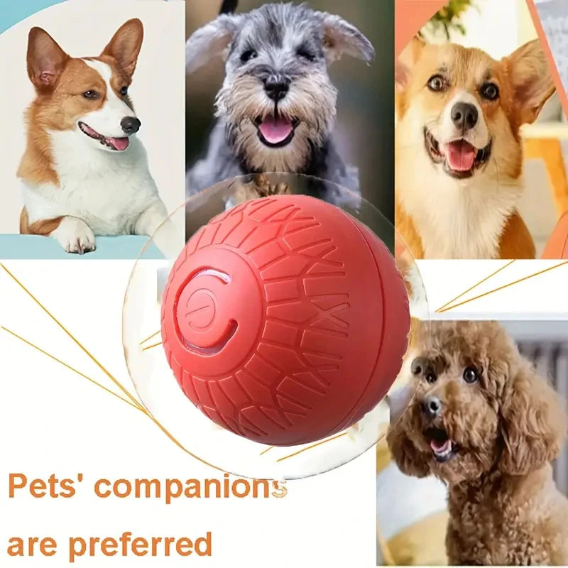 Smart Pet Toy Ball Automatic, Interactive, Rechargeable