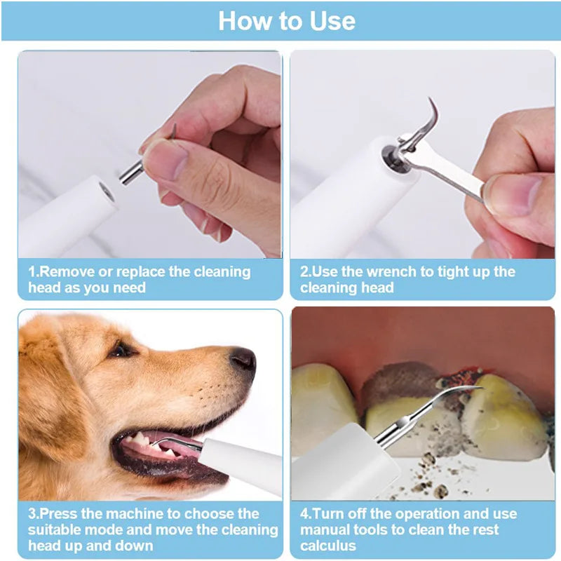 Dog Tooth Calculus Device Ultrasonic Toothbrush