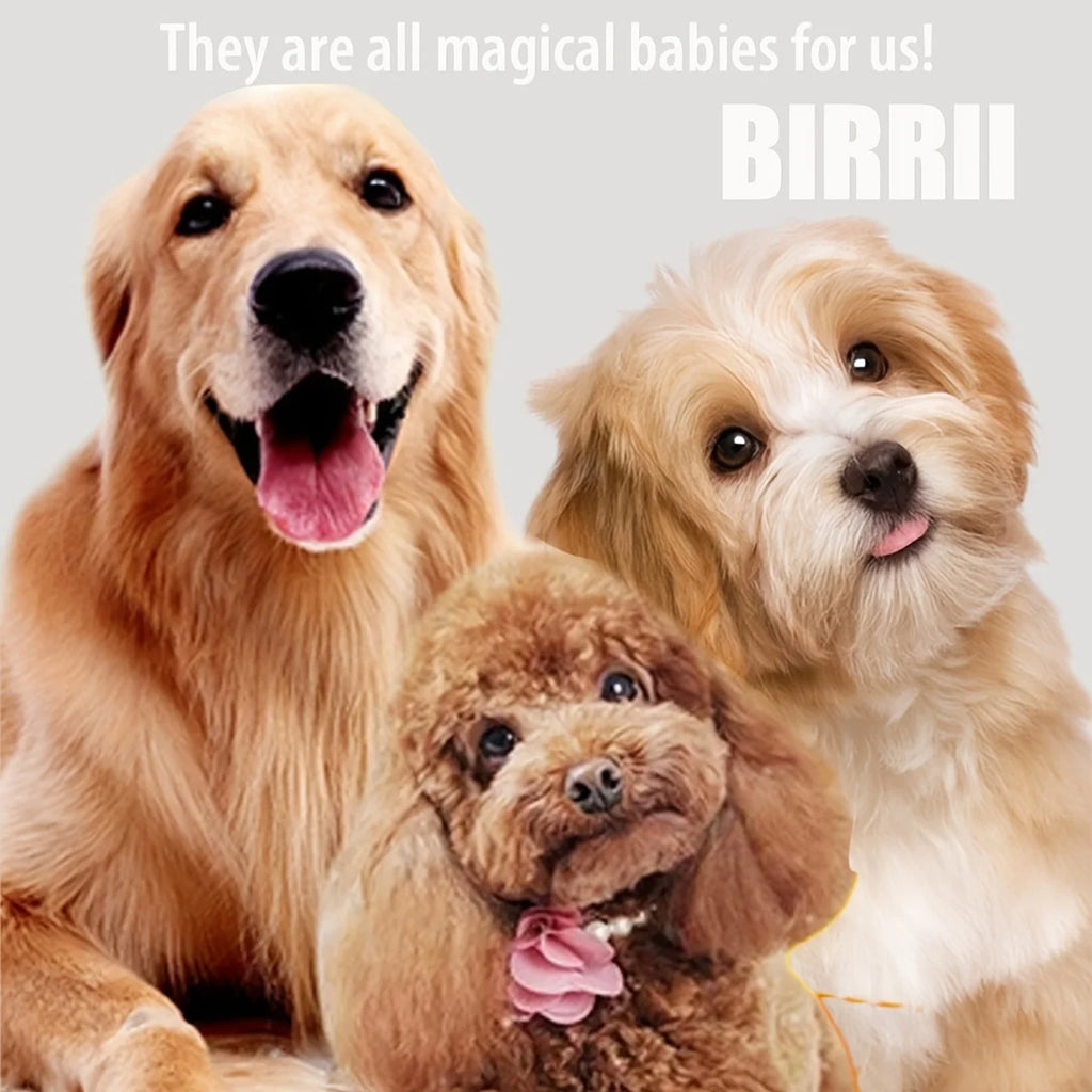 Dry shampoo for pets - no water, no rinsing required