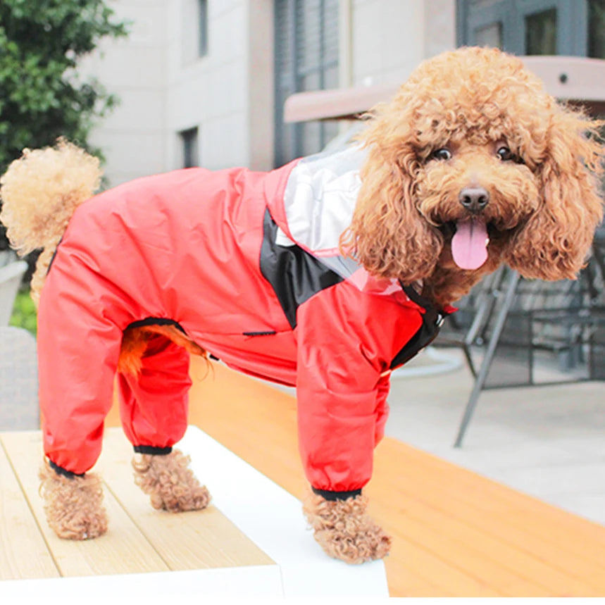Water Resistant Clothes for Dogs