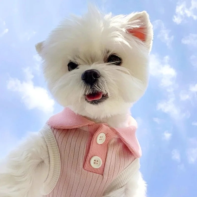 Summer Pet Polo Shirt, Breathable Cute Fashion Vest          Cute Solid Cat Shirt Soft Pet Costumes Chihuahua Dog Clothes