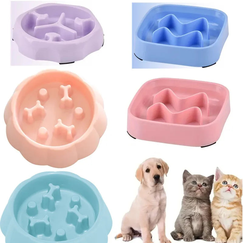 Pet supplies Color Slow Feeder Cat/Dog Bowl