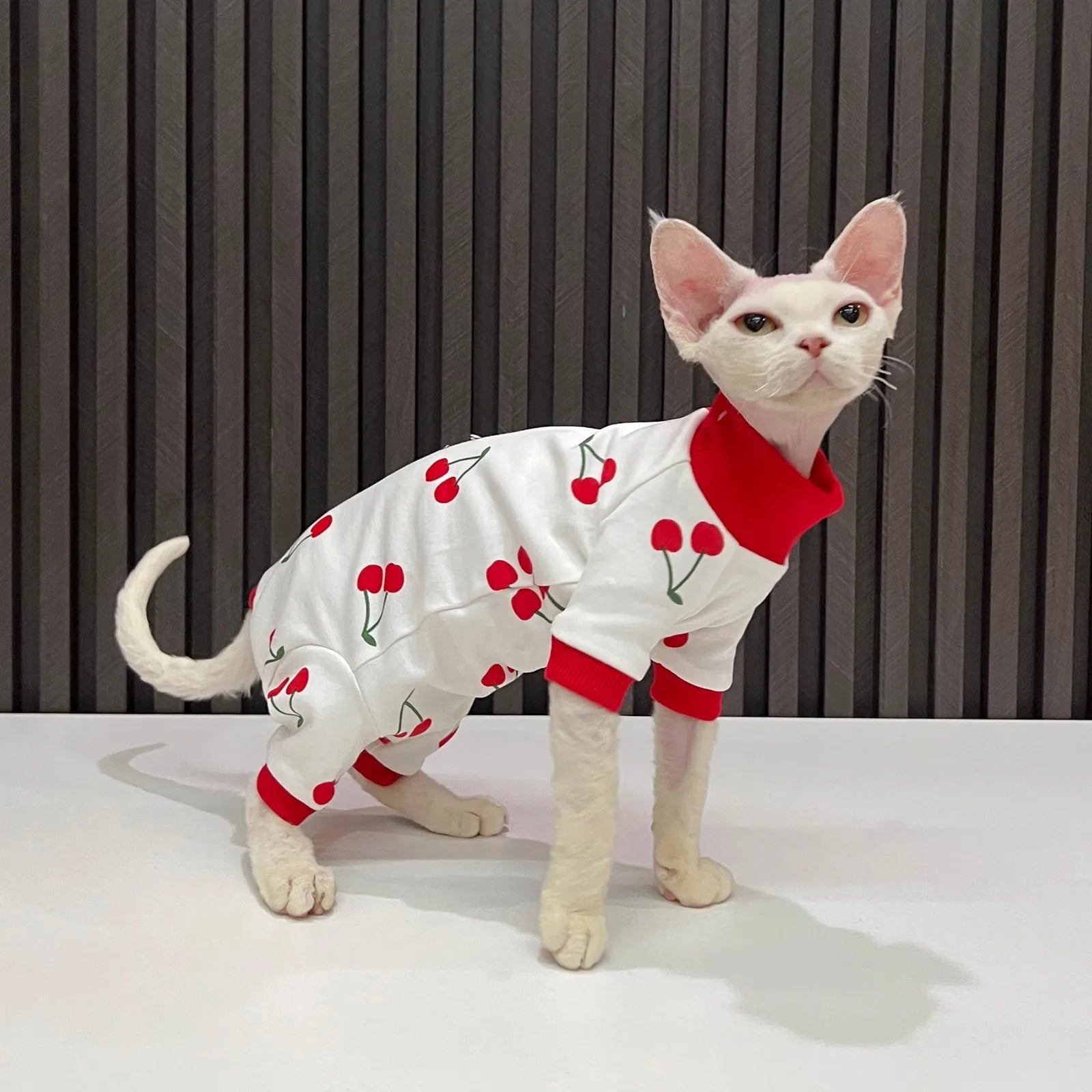 Cartoon Quadruple Cherry Print Hairless Cat Clothes