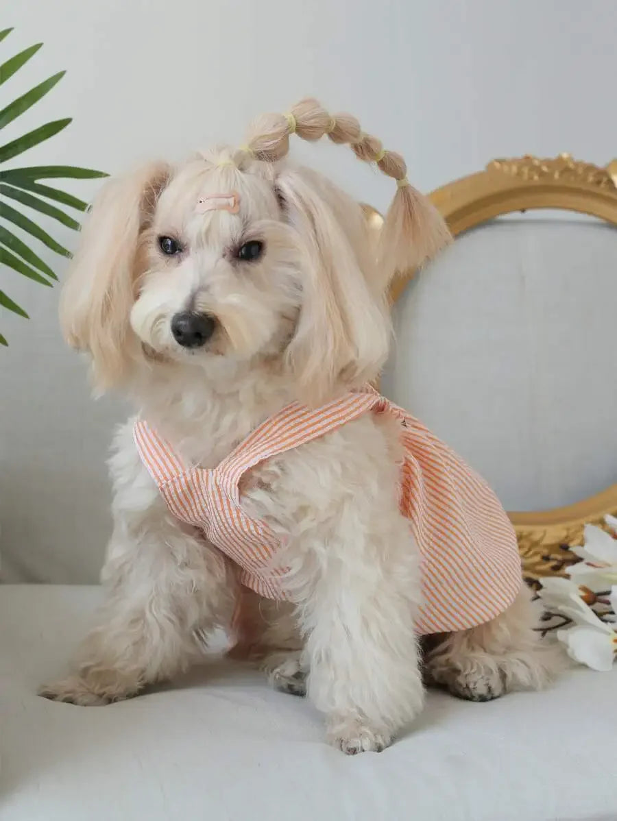 Striped Print Bow Pet Dress