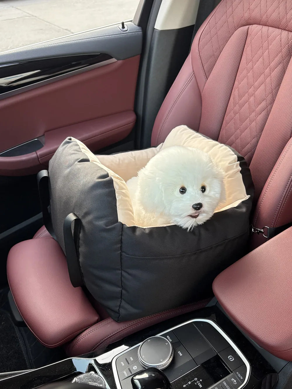 Dog/Cat Car Seat with Safety Belt