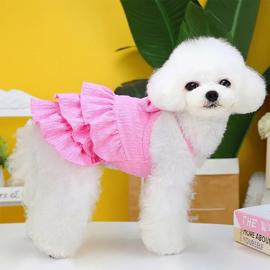 Small Dog Clothes with Ruffles & Bow