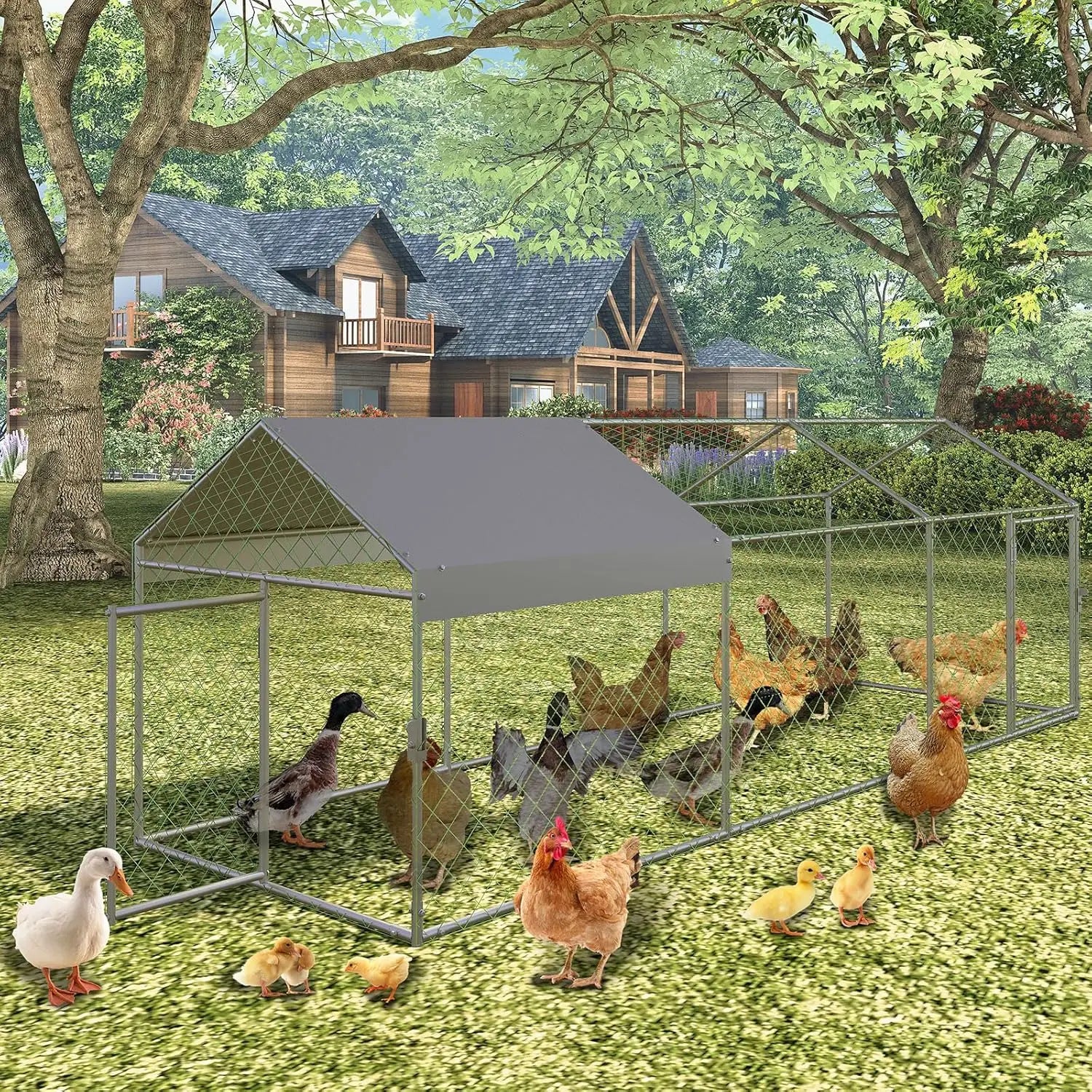 Poultry Metal Cages For Small Animals