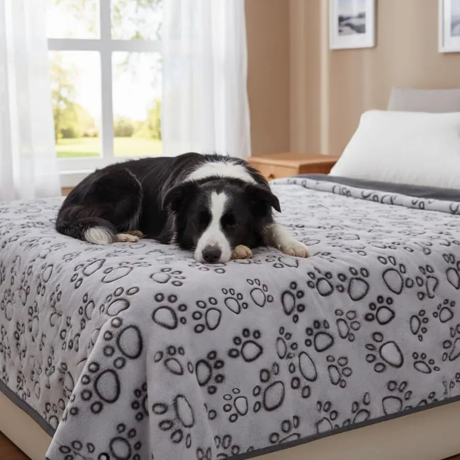 Premium Soft Blankets for Large Pets