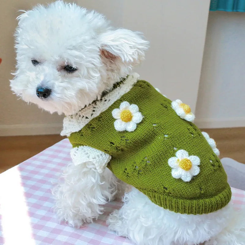 Cute Warm Dog Sweater with Knitted Blossoming Flowers
