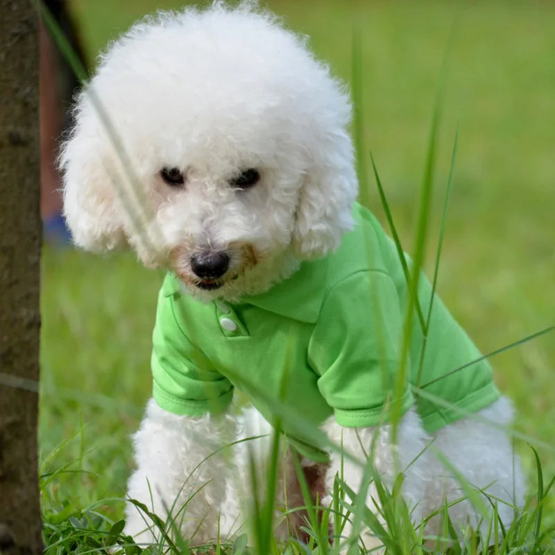 Spring Dog Shirts 6 Candy Colors Vests