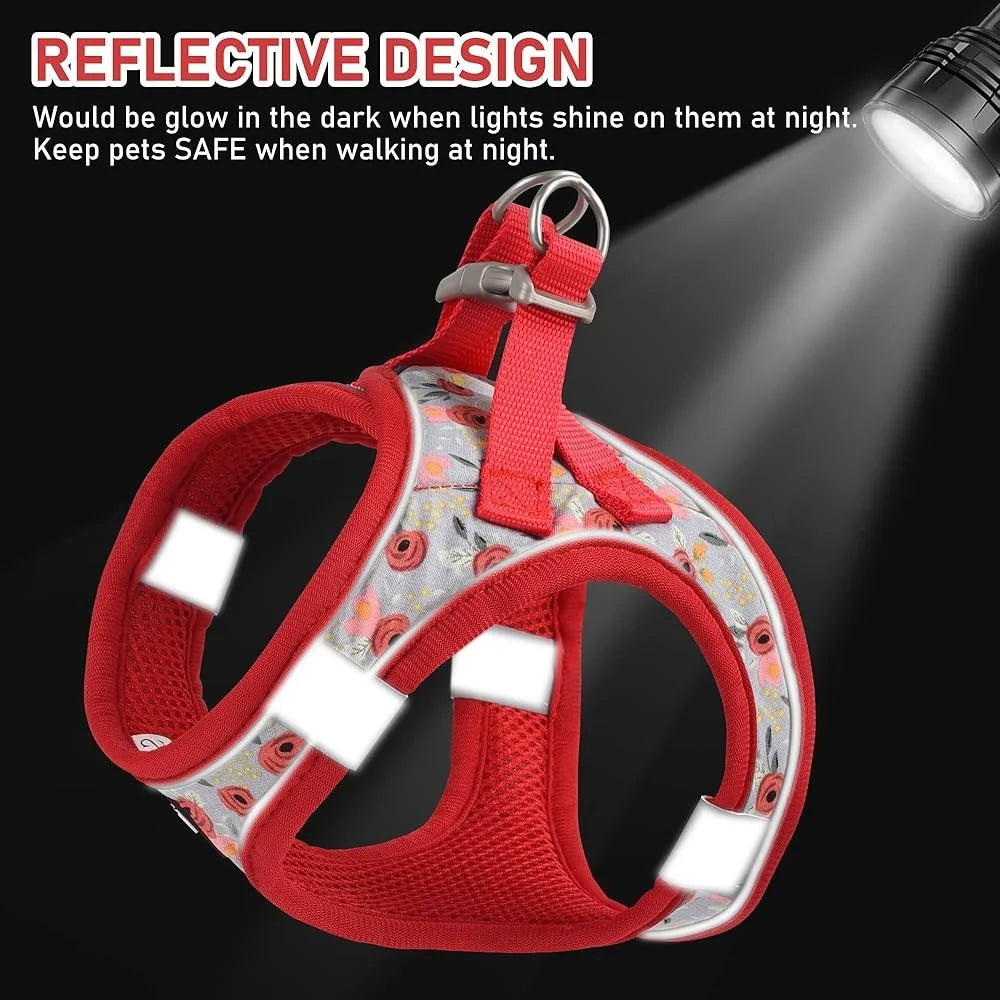 Adjustable Small Animals Harness Collar, Leash Set, Reflective Vest with ID Tag