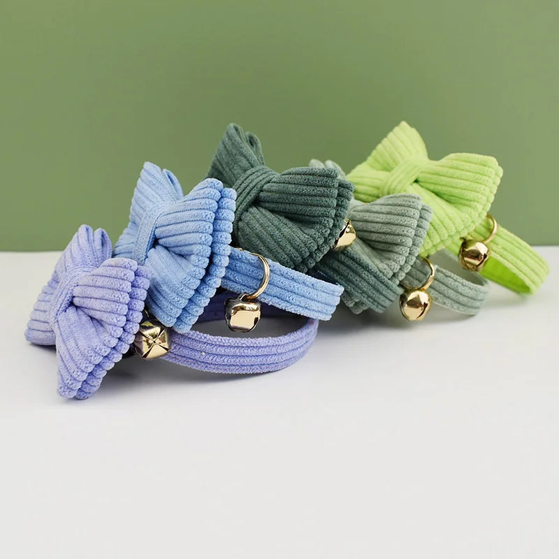 Personalized Cat Collar