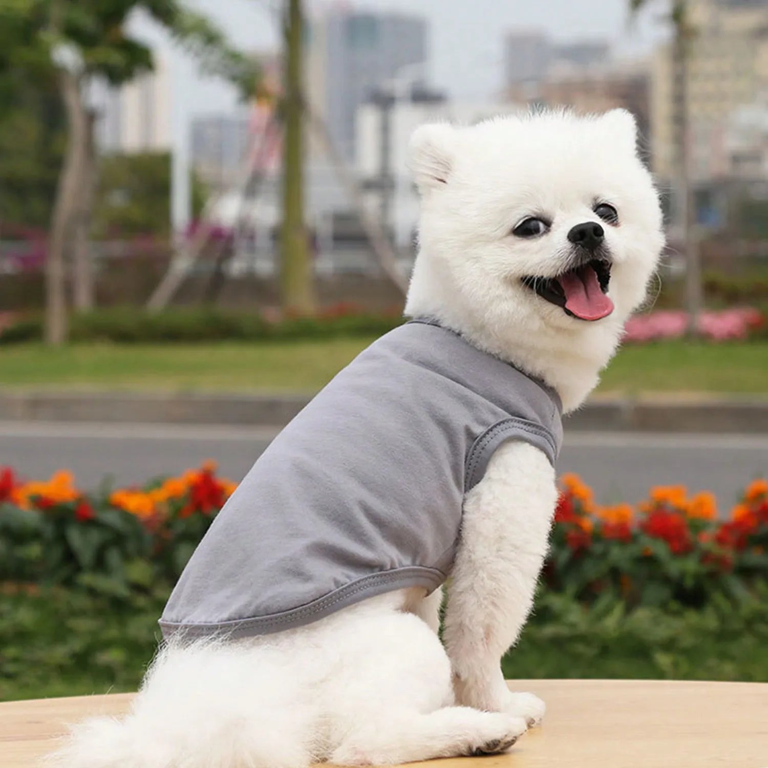 1pcs Pet Clothes for Small/ Medium Dogs