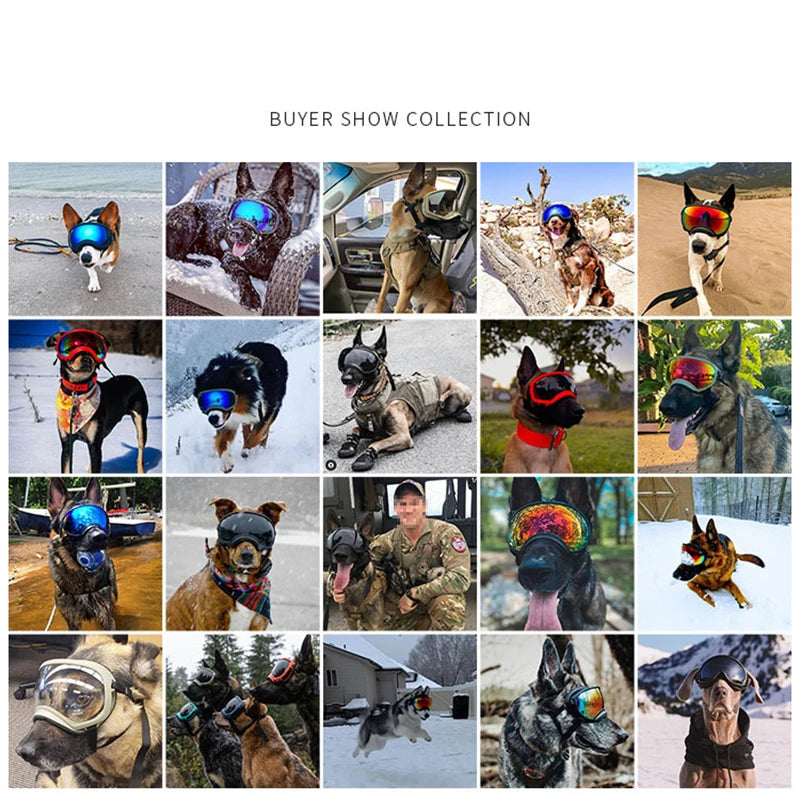 Dog Goggles Anti-UV Sun Glasses