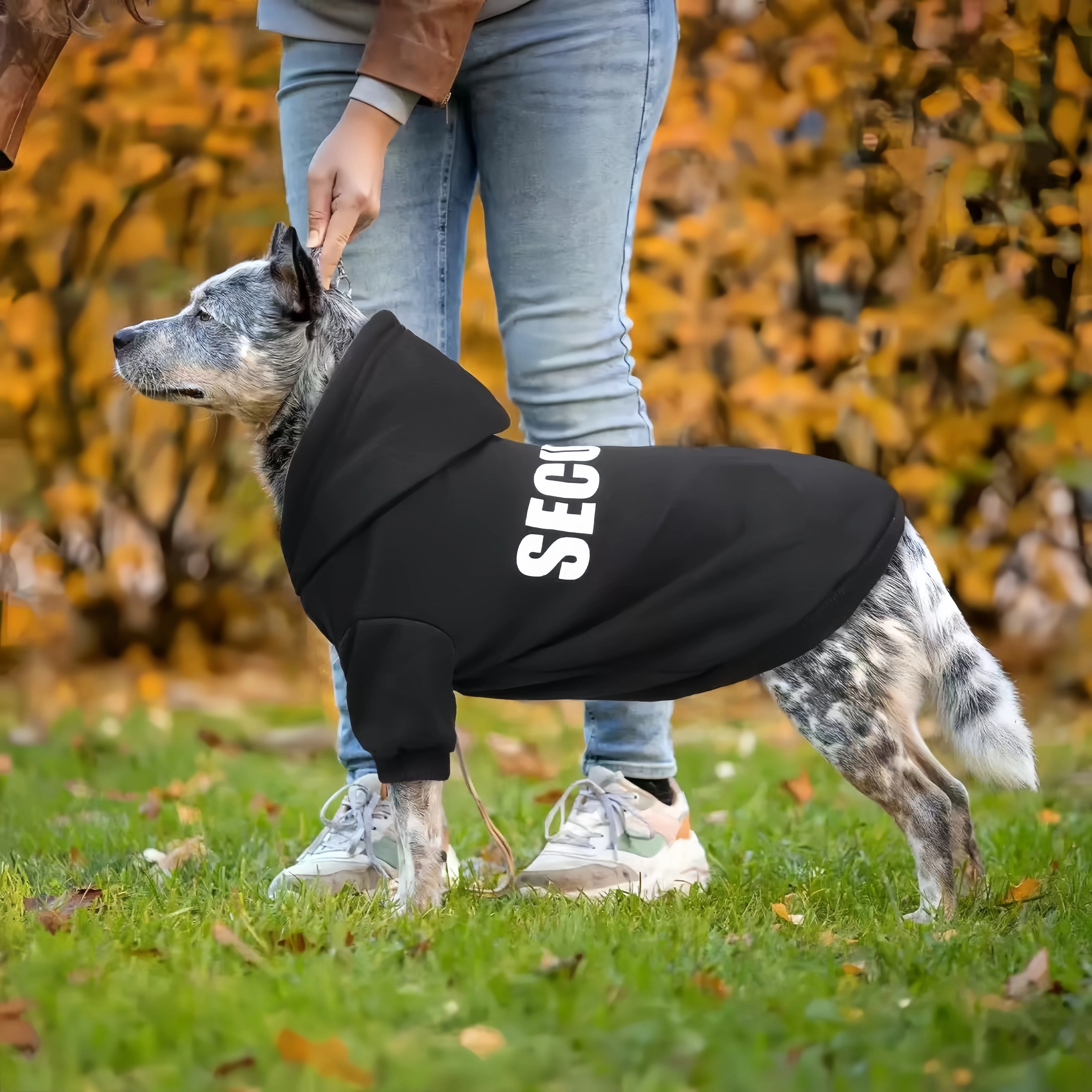 Autumn /Winter Pet Hoodies, Clothes For Small Dogs