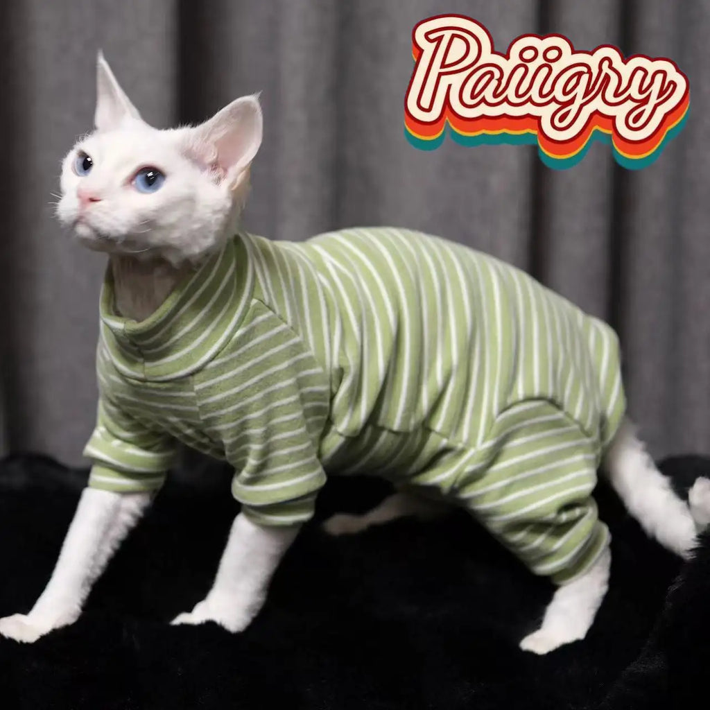 Hairless Cat Tricolor Four-Legged Clothes