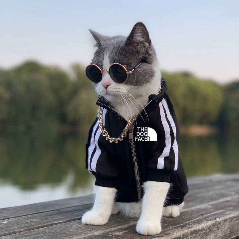 Small, Medium, Large Pets Jacket Clothing