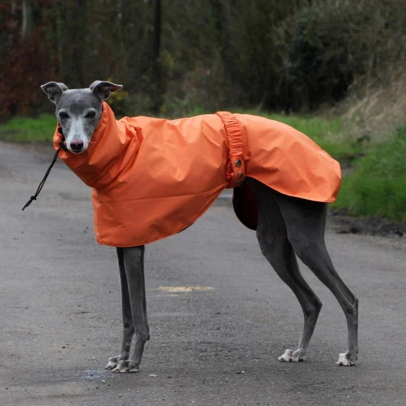 Waterproof Dog Raincoat, Luxury Whippet Greyhound Dog Raincoats Jacket Doberman Pinscher Raincoat Outdoor Walking