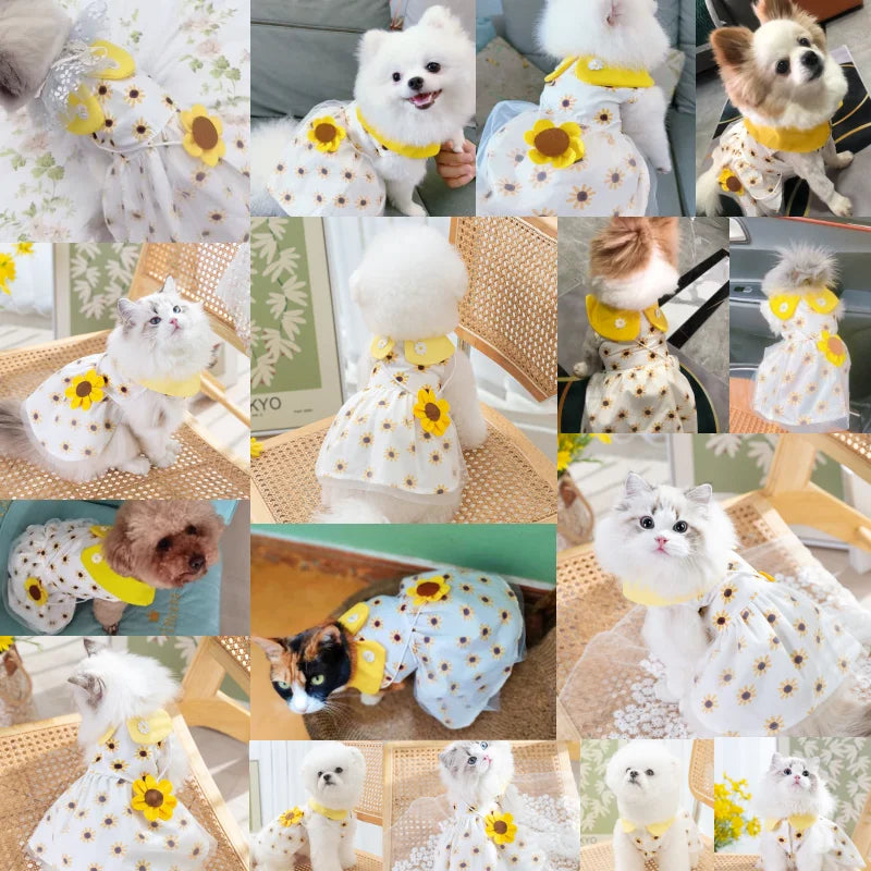 Dog/Cat Princess Dress, Cute Mesh Dress