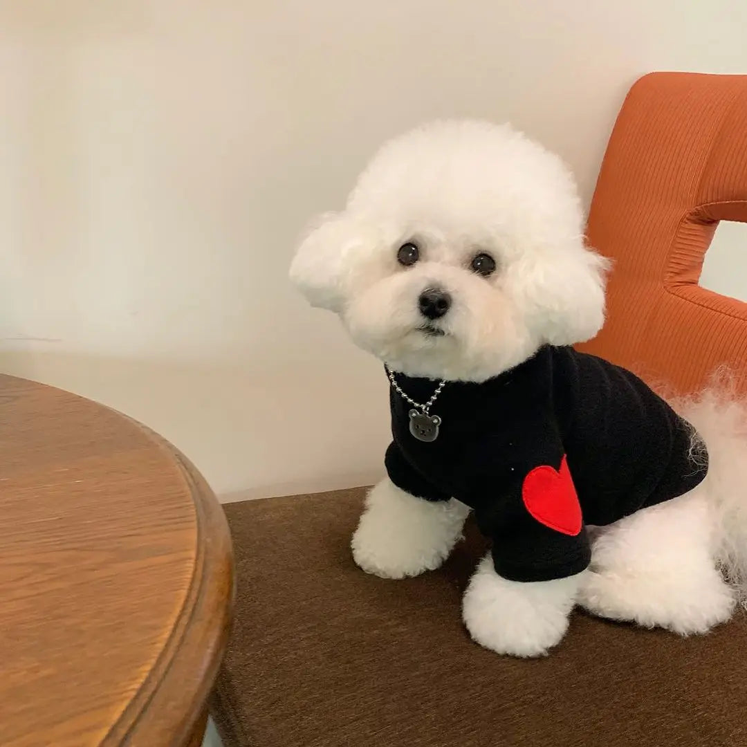 Winter Dog Shirt Heart-shaped Patch Embroidery Sweatshirt