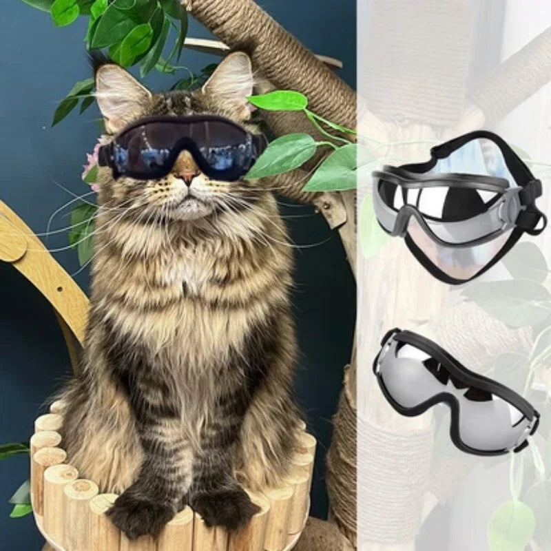 Goggles/Sunglasses for Small Breed Dog/Cat    UV Sunglasses, Windproof, Soft Frame, Adjustable Straps for Small/Medium Dogs/Cats