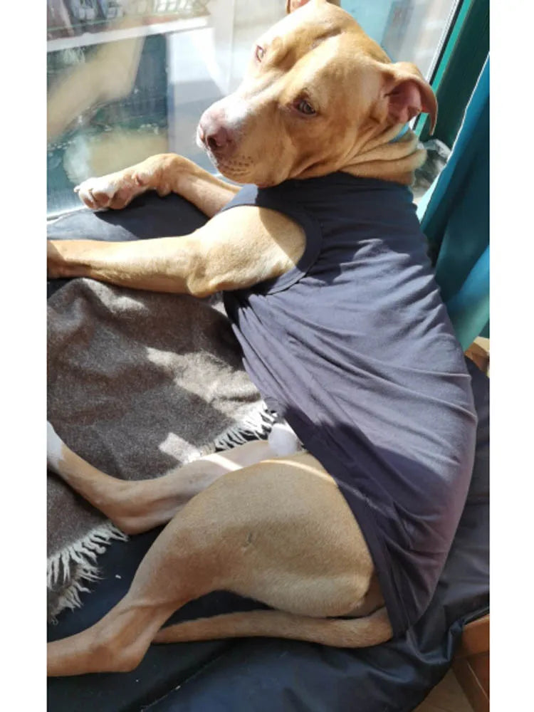 Dog Shirt Clothes, Spring/Summer T- Shirt Apparel