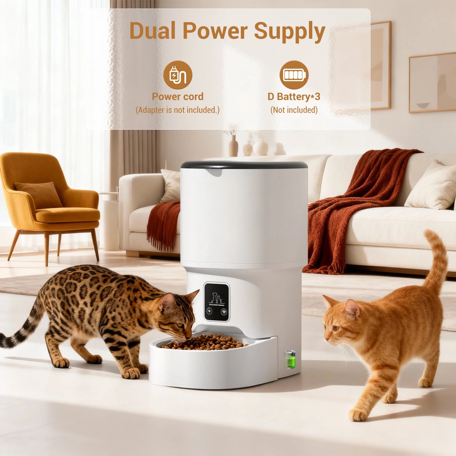 Programmable 4L Automatic Pet Feeder For Small Cats