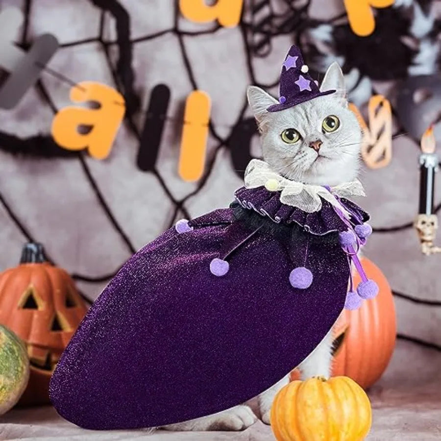 Pet Halloween Costume with Hat