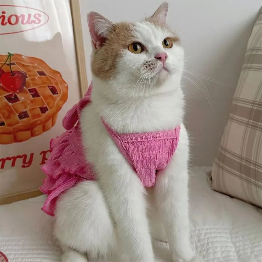 Small Dog Clothes with Ruffles & Bow