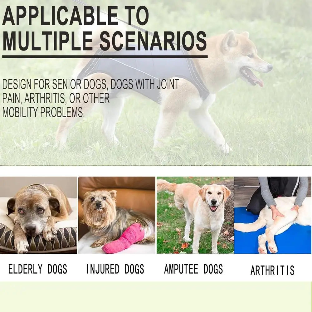 Supportive Harness for Small to Medium Dogs