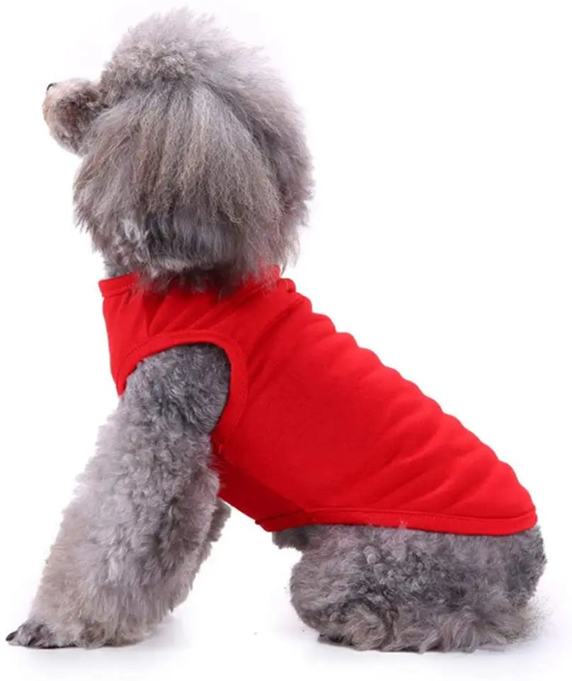 Dog Shirt Clothes, Spring/Summer T- Shirt Apparel