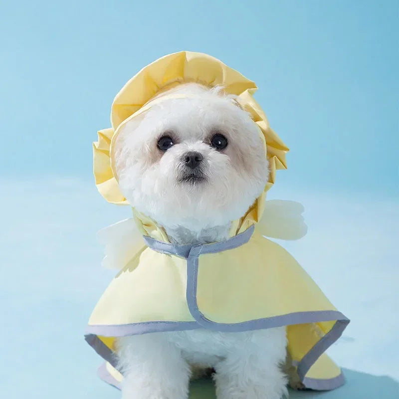 Small Dog Angel Wings Waterproof Raincoat and Large Poncho Style Waterproof Raincoat