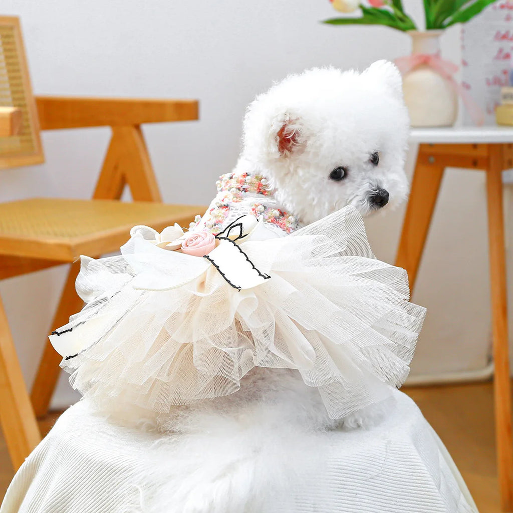 New Fashion Spring /Summer Tutu Dress