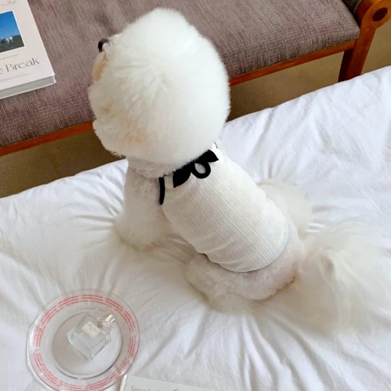 Luxury Dog Clothes Bow Striped Print