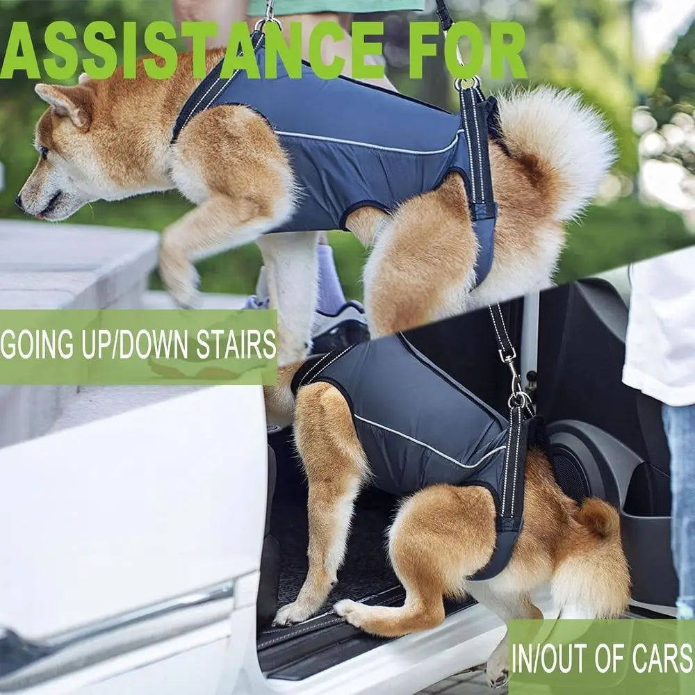 Supportive Harness for Small to Medium Dogs