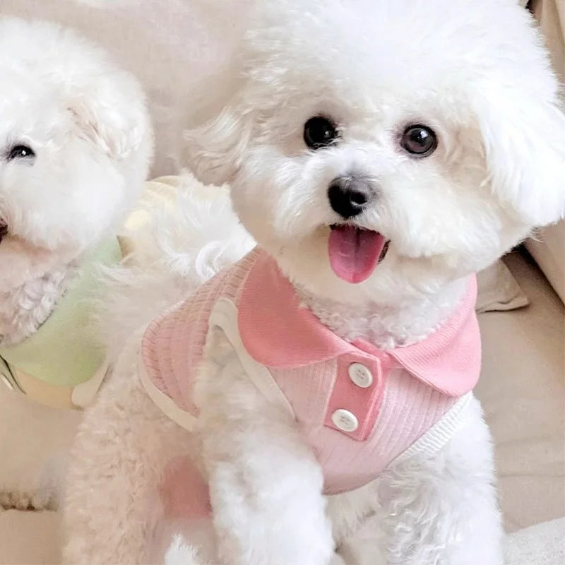 Summer Pet Polo Shirt, Breathable Cute Fashion Vest          Cute Solid Cat Shirt Soft Pet Costumes Chihuahua Dog Clothes